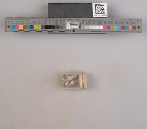 NSF ADBC EPICC TCN