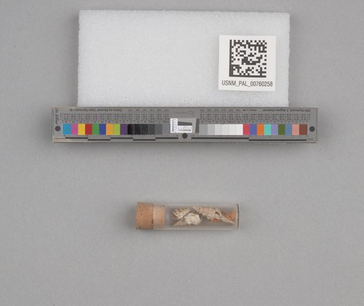 NSF ADBC EPICC TCN