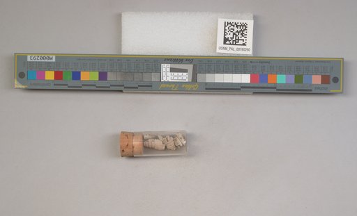 NSF ADBC EPICC TCN