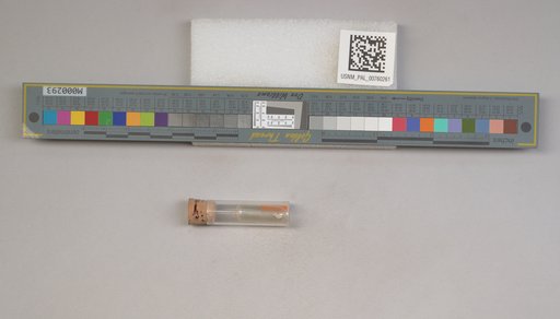 NSF ADBC EPICC TCN