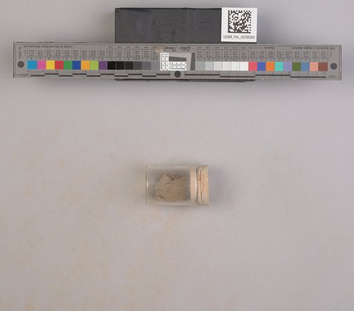 NSF ADBC EPICC TCN