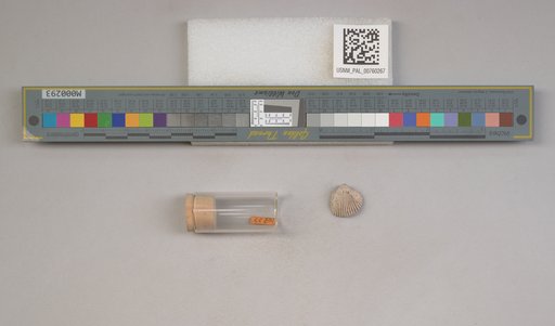 NSF ADBC EPICC TCN