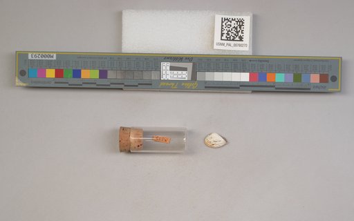 NSF ADBC EPICC TCN