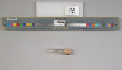 NSF ADBC EPICC TCN