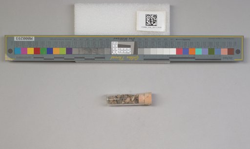 NSF ADBC EPICC TCN