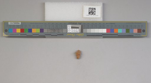 NSF ADBC EPICC TCN