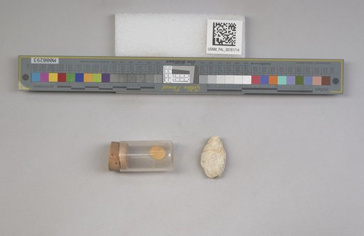 NSF ADBC EPICC TCN