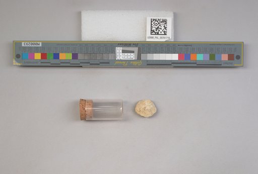 NSF ADBC EPICC TCN