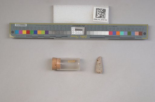 NSF ADBC EPICC TCN