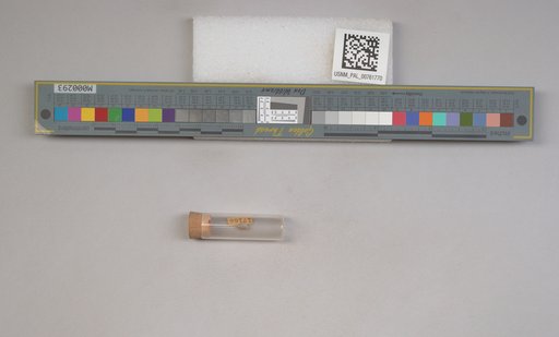 NSF ADBC EPICC TCN