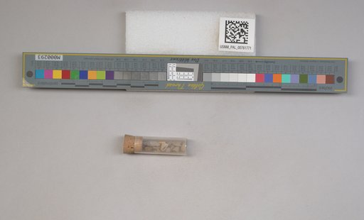 NSF ADBC EPICC TCN