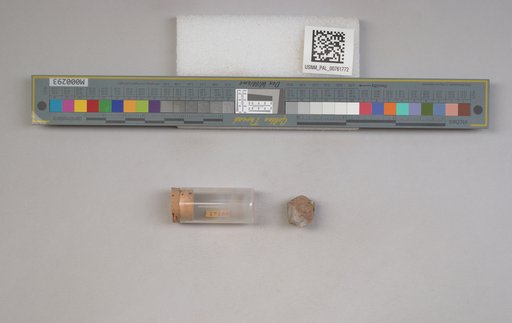 NSF ADBC EPICC TCN