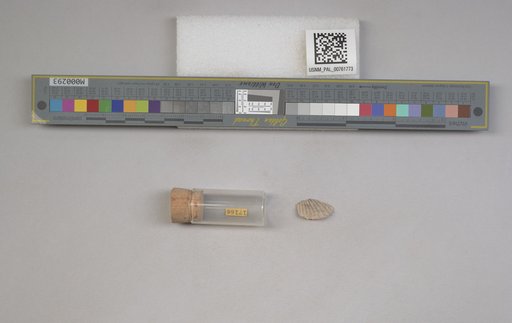 NSF ADBC EPICC TCN