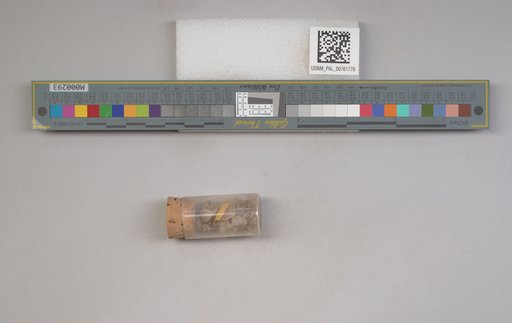 NSF ADBC EPICC TCN