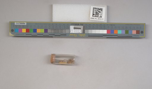 NSF ADBC EPICC TCN