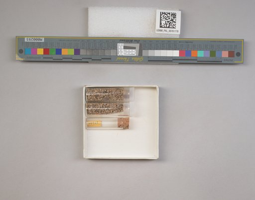 NSF ADBC EPICC TCN