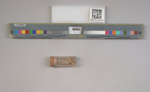 NSF ADBC EPICC TCN