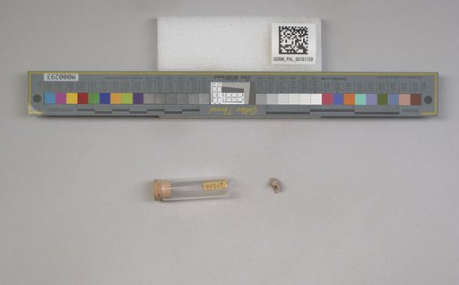 NSF ADBC EPICC TCN