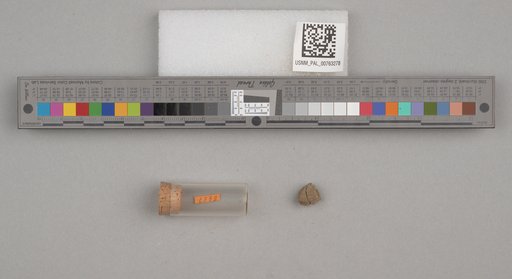 NSF ADBC EPICC TCN
