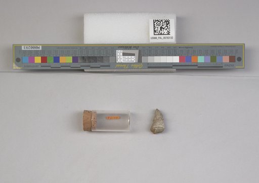 NSF ADBC EPICC TCN