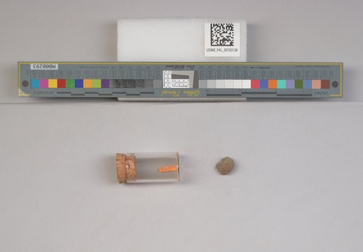 NSF ADBC EPICC TCN