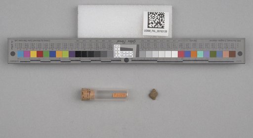 NSF ADBC EPICC TCN