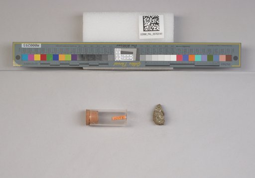 NSF ADBC EPICC TCN