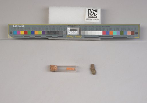 NSF ADBC EPICC TCN