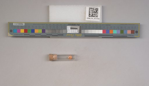 NSF ADBC EPICC TCN