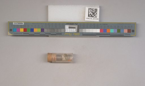 NSF ADBC EPICC TCN