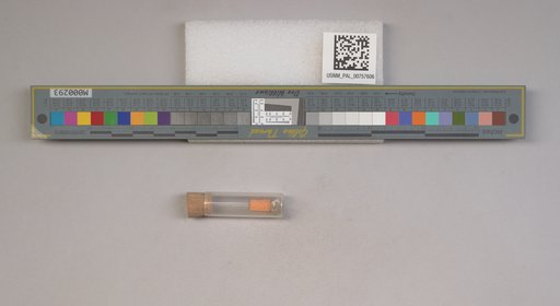 NSF ADBC EPICC TCN
