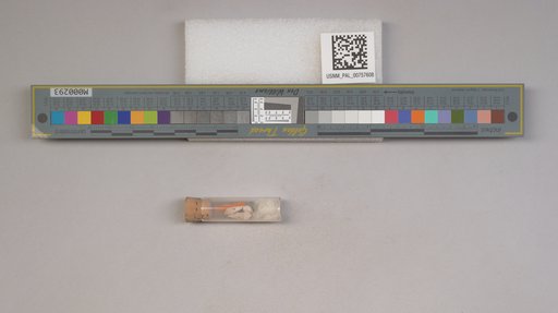 NSF ADBC EPICC TCN
