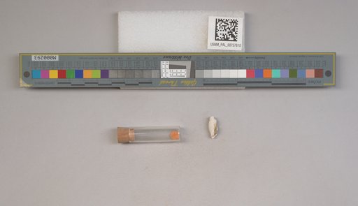 NSF ADBC EPICC TCN