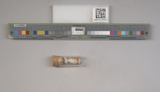 NSF ADBC EPICC TCN