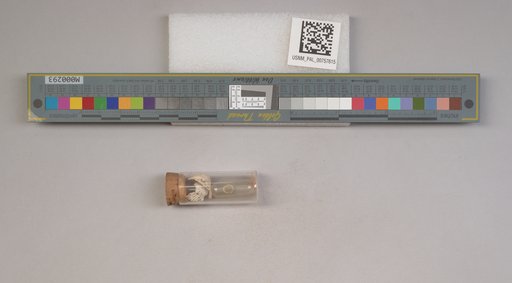 NSF ADBC EPICC TCN
