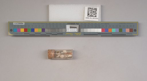 NSF ADBC EPICC TCN