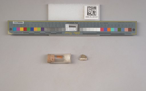 NSF ADBC EPICC TCN