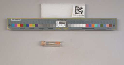 NSF ADBC EPICC TCN