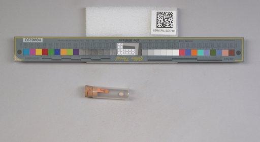 NSF ADBC EPICC TCN