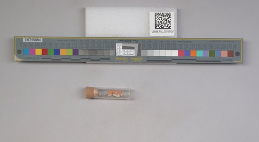 NSF ADBC EPICC TCN
