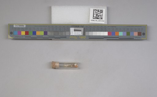 NSF ADBC EPICC TCN