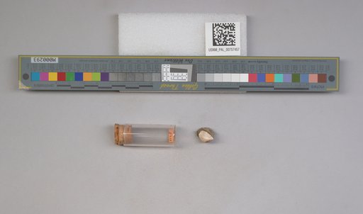 NSF ADBC EPICC TCN