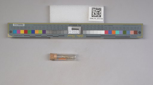 NSF ADBC EPICC TCN