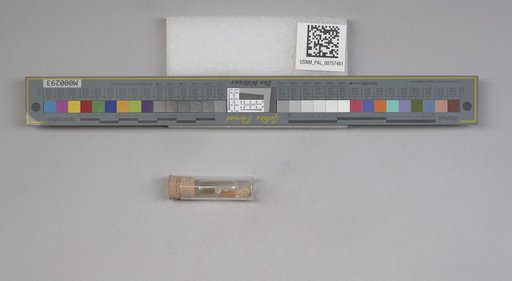 NSF ADBC EPICC TCN