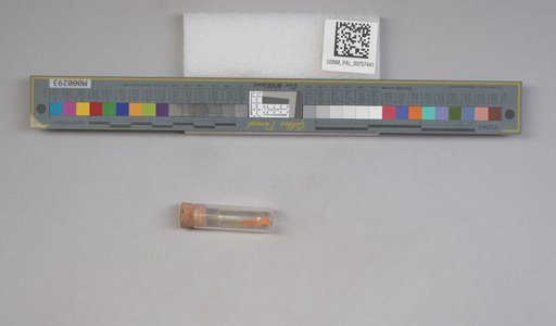 NSF ADBC EPICC TCN