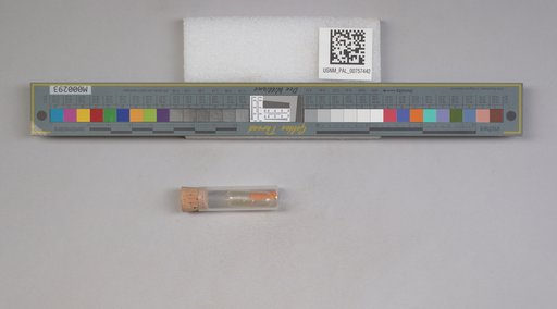 NSF ADBC EPICC TCN