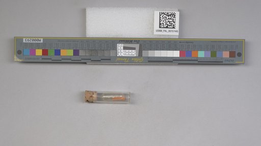NSF ADBC EPICC TCN