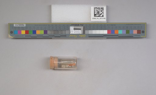 NSF ADBC EPICC TCN