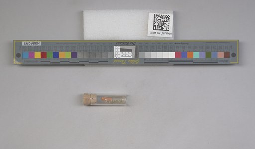 NSF ADBC EPICC TCN