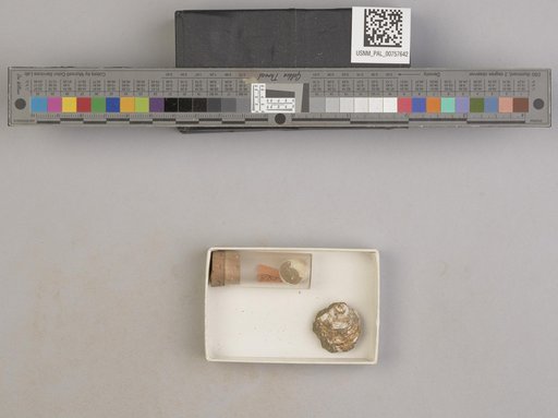 NSF ADBC EPICC TCN